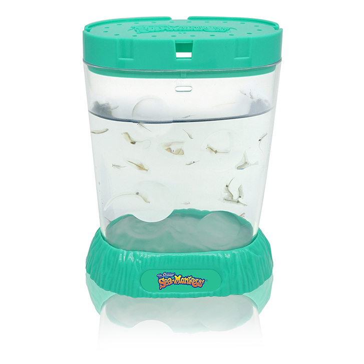 Sea-Monkeys Ocean Zoo Aquarium Seeaffen See Affen Urzeit Krebse Urzeitkrebse YPS Kult Heimtier Set Klassiker Geschenk Kinder 3 Sea-Monkeys Ocean Zoo Aquarium Seeaffen See Affen Urzeit Krebse Urzeitkrebse YPS Kult Heimtier Set Klassiker Geschenk Kinder Tiere 3