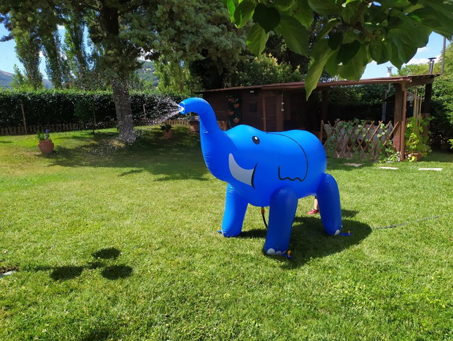 Aufblasbarer Elefanten Sprinkler für Garten Kinder Pool Sommer Wasser Spielzeug XXL Badi Abholbereit Spielzeuge & Basteln