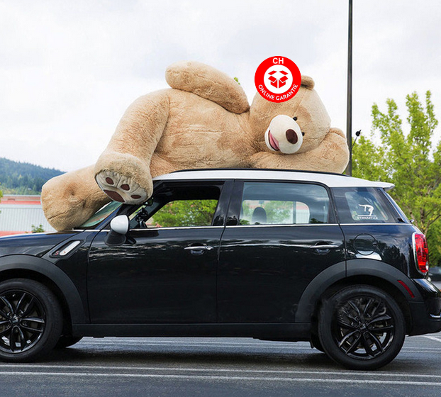 Riesengrosser Plüschbär Plüsch Teddy Teddybär Plüschbär XXL 3 Grössen (160cm 200cm 260cm) Geschenk Geburtstag Weihnachten Riesengrosser Plüschbär Plüsch Teddy Teddybär Plüschbär XXL 3 Grössen (160cm 200cm 260cm) Geschenk Geburtstag Weihnachten Spielzeuge & Basteln