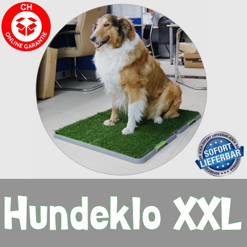 XXL Senioren Welpen WC Hundetoilette Hunde Klo Toilette WC Welpen Klo Stubenrein Gassigehen grosse Hunde Welpe Schweiz Indoor Outdoor Hundeklo Sonstige